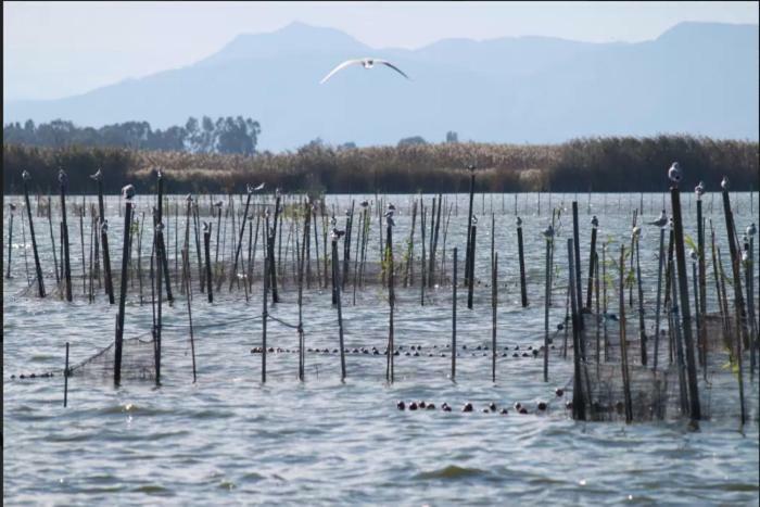 Casa Pescadores De Vallterra إلبالمار المظهر الخارجي الصورة